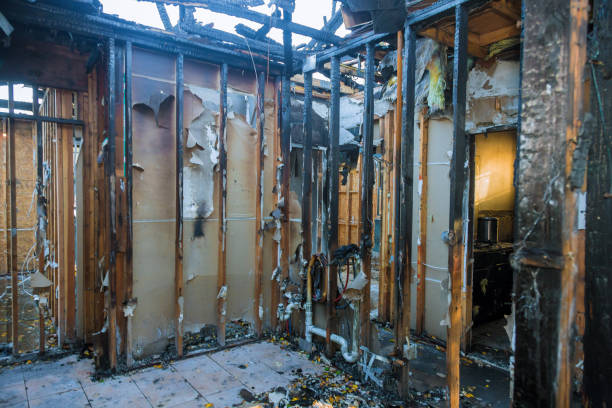 Professional Fire Damage Removal technician working in Breckenridge, MI